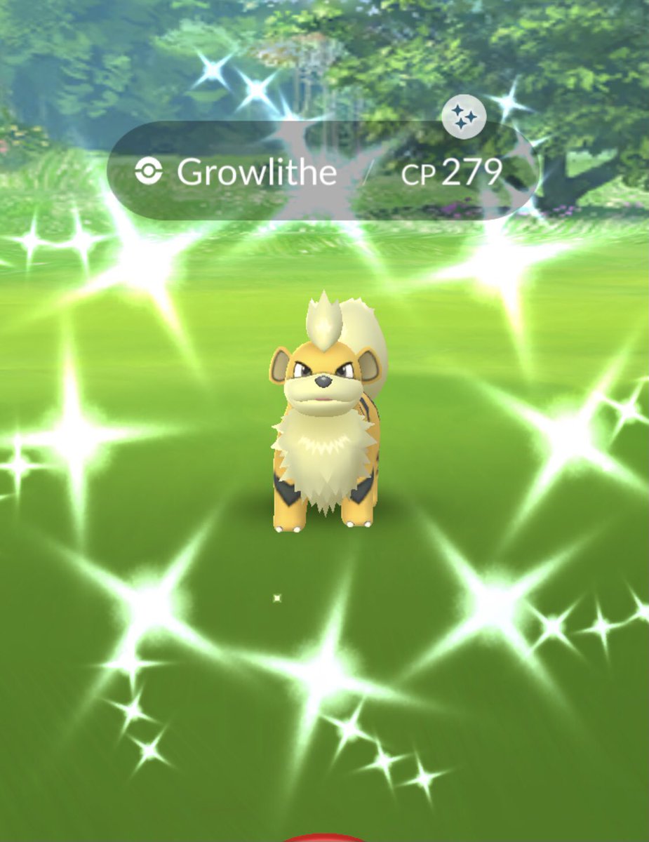 こいきんぐ Pokemon Go Tour あ 明日の11時から17時まではヤヤコマの色違い率がアップするイベント コミュニティデイ があるみたいです