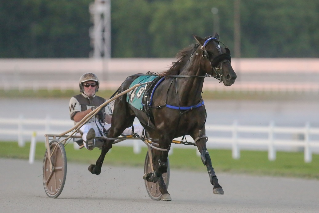 IndianaHarness's tweet photo. Mildrix a winner at Miami Valley Raceway: https://t.co/9bly9dnyz1 Photo of Mildrix with driver Peter Wrenn at Harrah's Hoosier Park in 2019 taken by Dean Gillette @harnessindiana @INStandardbred https://t.co/yzgmVJ8XW5