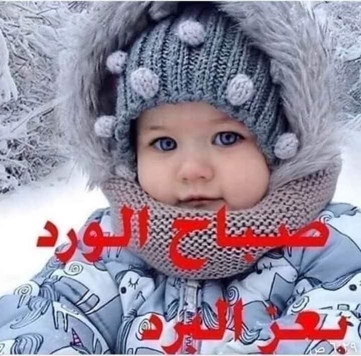 Khaled Itani tweet media