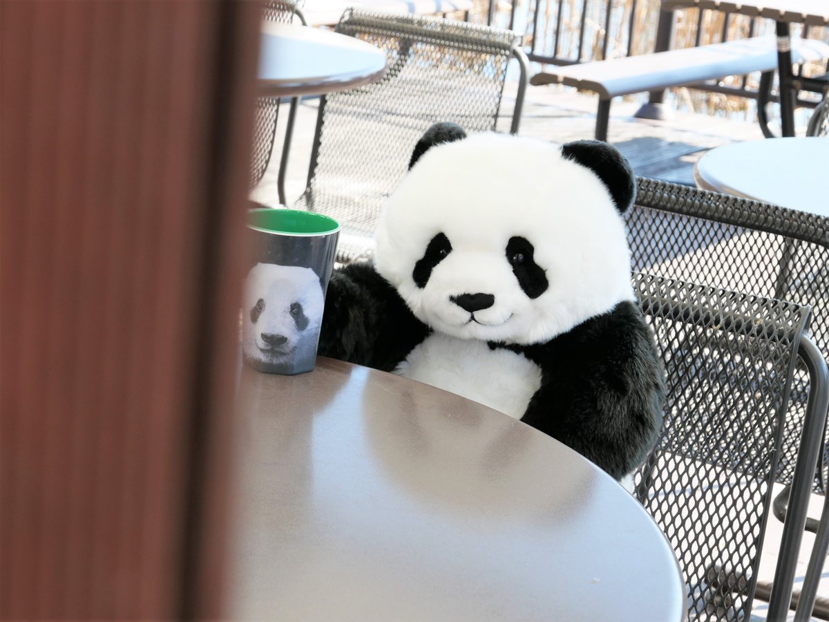 お買得限定品☆夏売れ筋 上野動物園 シャンシャン 抱っこぬいぐるみ