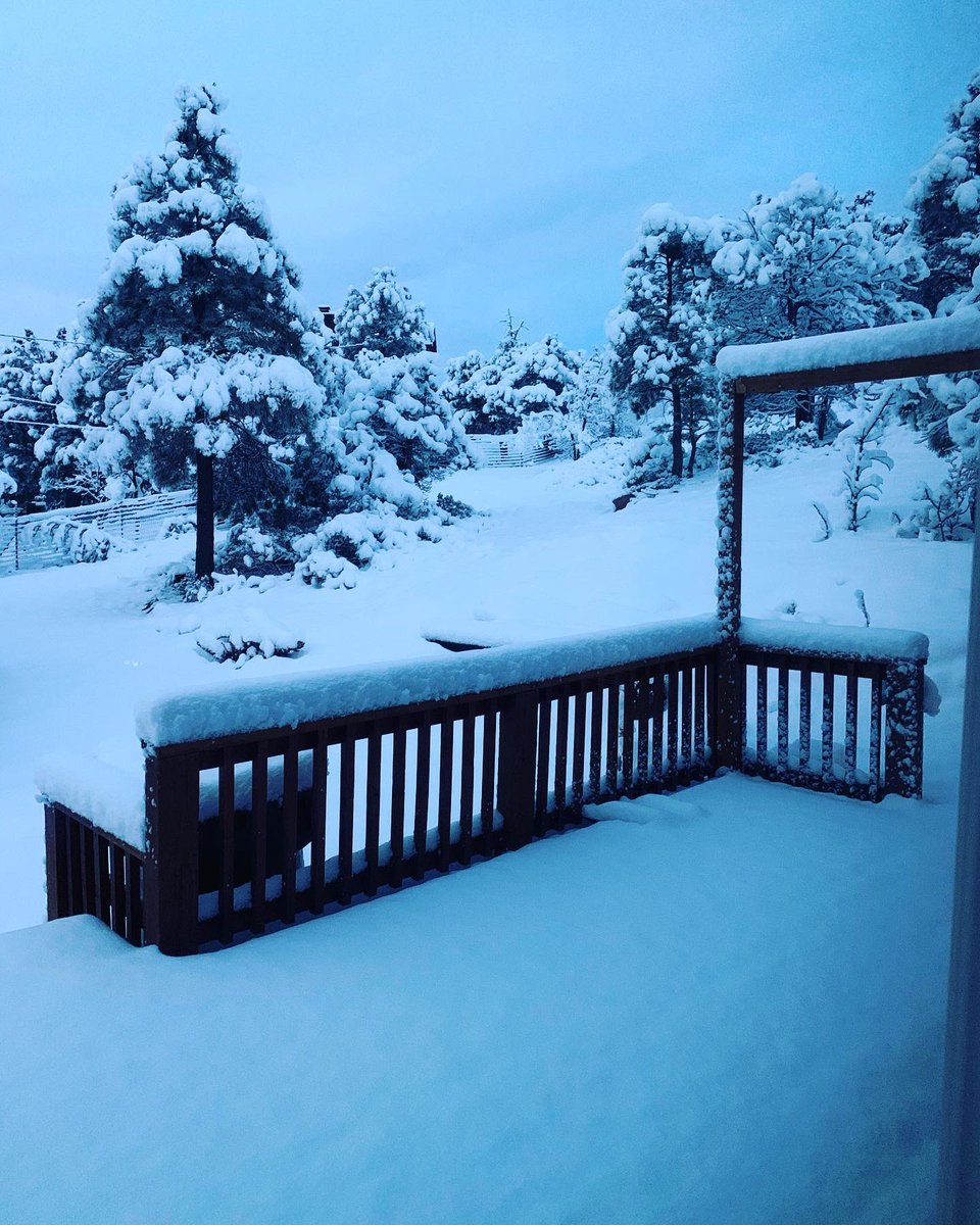 WafflerWeekend's tweet photo. Winter wonderland up here in the mountains. #cabin #cabinlife #WinterWonderland #snow #snowedin https://t.co/b09waFtUKg