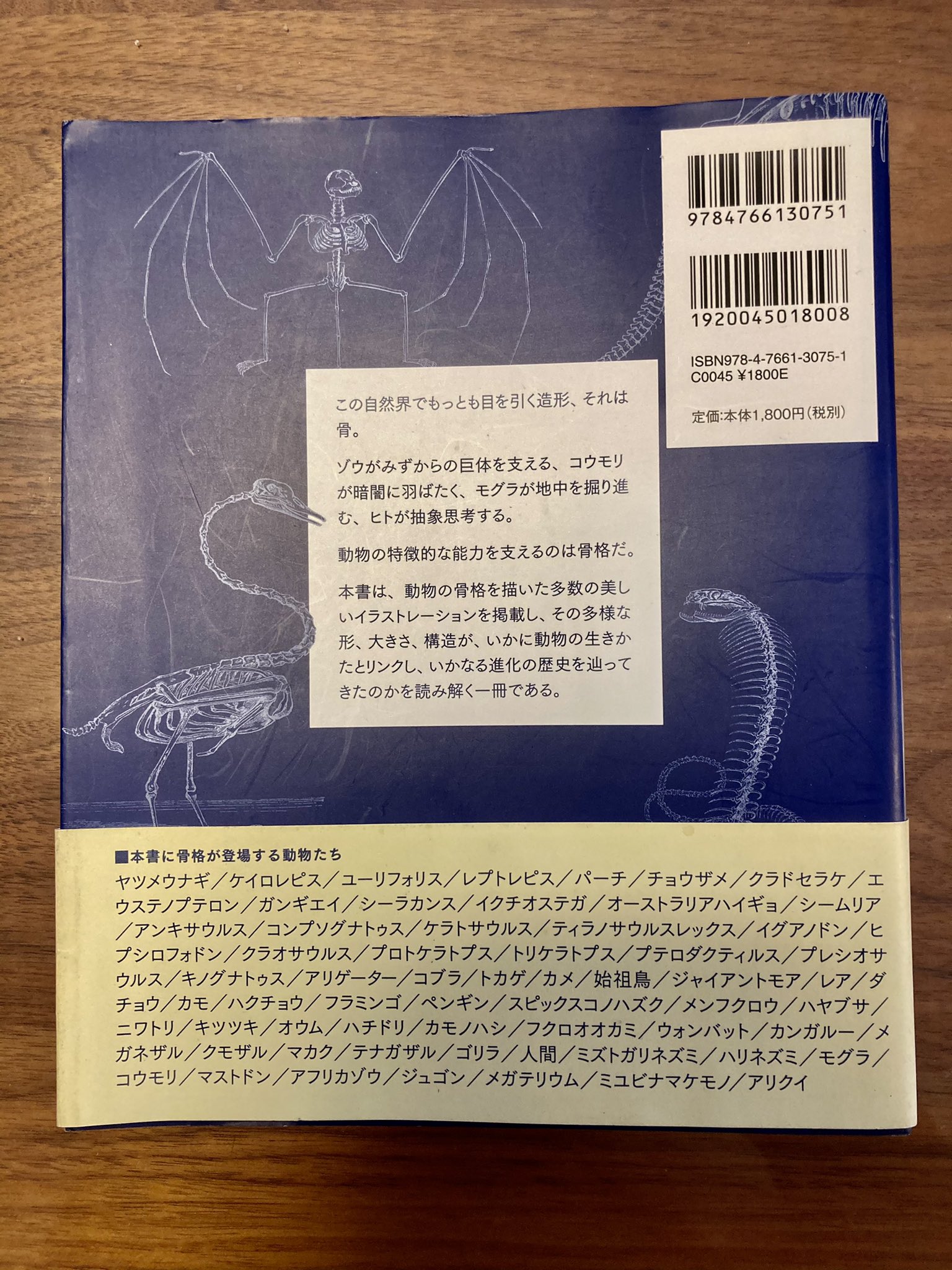北里紗月 小説家 臨床検査技師 胚培養士 生物学 本の紹介 骨格百科です 骨は全てイラストですが大変美しいです 進化の過程と骨の作りの変化が分かりやすい ハクチョウ首長 魚詰まったらどうする気 コウモリ 指長 折れちゃうよ ヘビ骨多
