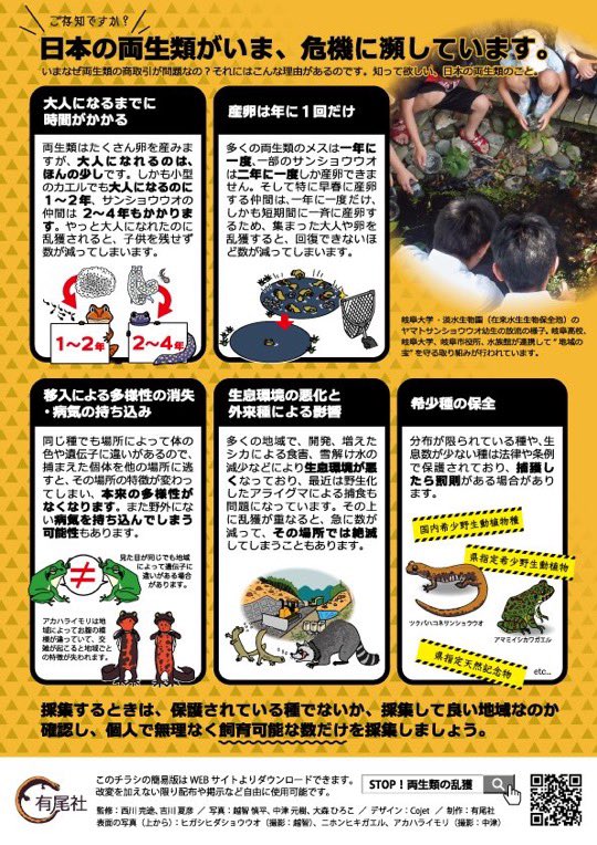 つじ 絶滅危惧種種のカスミサンショウウオの卵塊となんと親までがあるペットショップに入荷したとのこと 値段はたった500円 ブリードではなく採取個体と思われます 両生類は生息域が狭く 網で掬って持って帰るだけでもその地域で全滅の恐れがある生き物