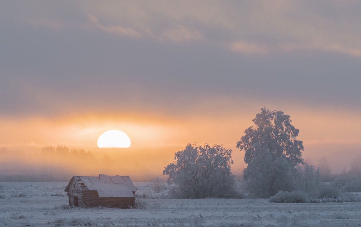 Soy_Luchick's tweet image. There's no time to be bored in a world as beautiful as this. ~ Matt Hogan

📷 Jyrki Liikanen