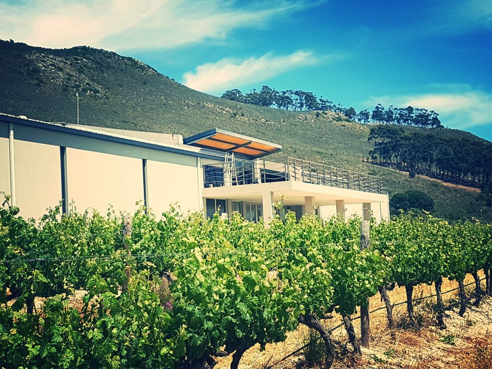 Prized (@prizedsa) on Twitter photo Last chance to enter our #sawine #competition with <a href="/ArraWines/">Arra Vineyards</a> which ends soon. Make sure you retweet & share with your friends! prized.co.za/food-wine/win-… Last chance to enter our #sawine #competition with <a href="/ArraWines/">Arra Vineyards</a> which ends soon. Make sure you retweet & share with your friends! prized.co.za/food-wine/win-…