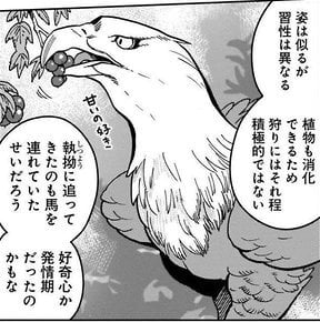 これらの考察は大変見事なもので、それすらもオリジナリティに変えています。「似たような姿の魔物でも別種の存在」「餌が違うので、姿は似ていても味は全く異なる」などの、実在の生物の生態のそれを、見事に反映させています。 