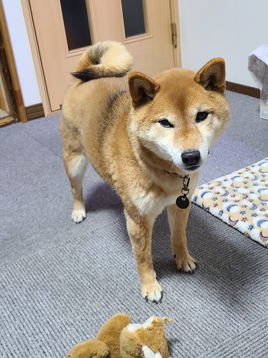 きっとよくなる