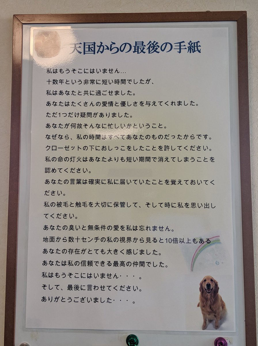 0313Nya's tweet photo. 診断書を取りに行くと
待ち合い室に「天国からの手紙」が目に入り思わず😢 https://t.co/Kg9cMVt61p