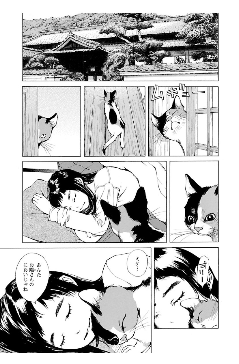 Kishimoto 青の島とねこ一匹 4巻ゲット 良い作品なのに4巻でないかもと書かれたあとがきみて大変な世界だなと思いました 島好き 猫好きさんはlineマンガで無料で1巻読めるのでぜひ 小林俊彦 青の島とねこ一匹 T Co Frfbqfnoih Twitter