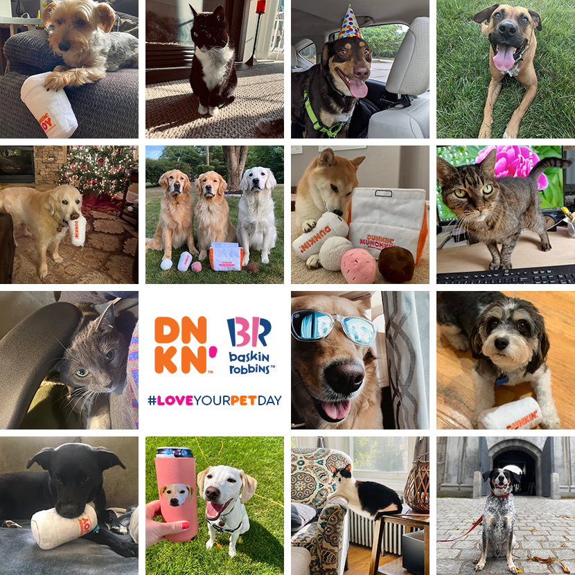 paula_minard's tweet photo. Wait, there’s a National Love Your Pet Day!? My day just got a whole lot better. Check out these adorable photos of my colleagues’ pets. Enjoy! #nationalloveyourpetday https://t.co/n5ihjzmeab