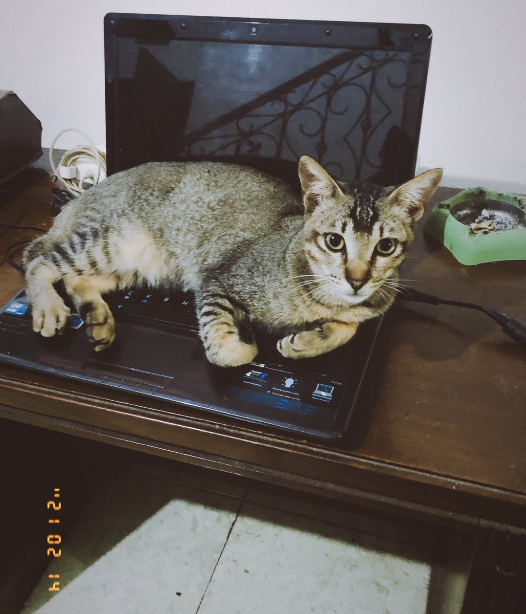 diditsaad's tweet photo. Kadang mereka lebih tau kapan kami hrs berhenti main game https://t.co/pe9KEUSke7