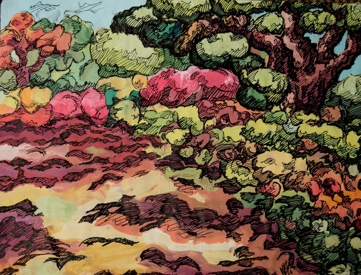 Welch kdee (@wellingtonchaum) on Twitter photo 