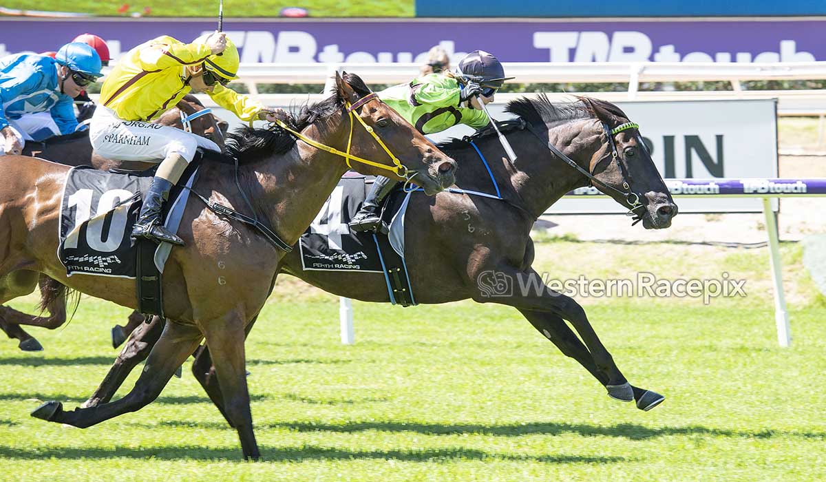 CUBALLING - Ascot Sat 20th February <a href="/PerthRacing/">Perth Racing</a> #WesternRacepix #AscotGoodTimes