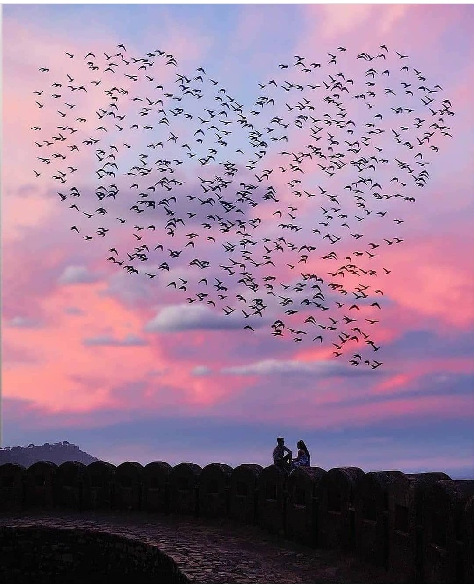 Птица души. Полет души абстракция. Я стану птицей. Женщина солнце. Душа ее летела к нему.