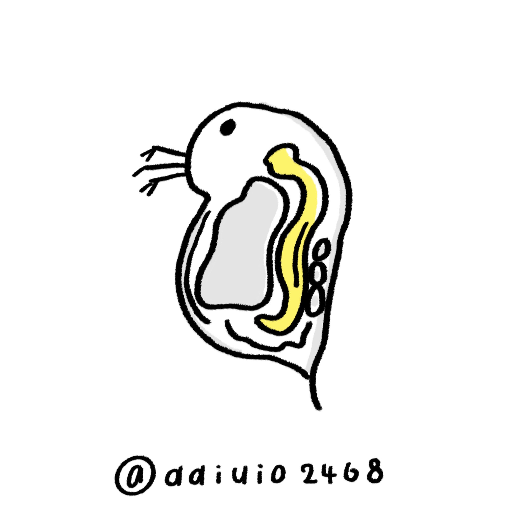 アライユキノ イラスト 19こめ ミジンコ 今日はこの後用事があるので早めに ミジンコ 絵にすると可愛いんだけどなあ 本物は少し怖い イラスト好きな人と繋がりたい イラスト Illustration 絵しりとり うれしたのしりとり ゆるいイラスト