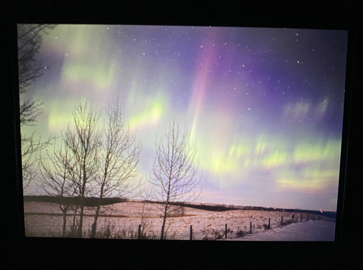treetanner's tweet image. Moon light #aurora right now and pink pillars in central #Alberta now #backofcamera #Auroraborealis #northernlights #teamtanner @dartanner @TamithaSkov @chunder10 @NightLights_AM @TheUmno @scottrockphoto @PeakToSailPhoto @Lathanafoto