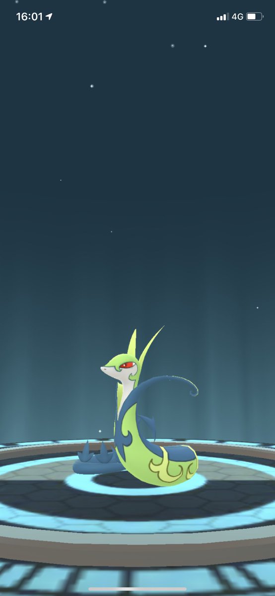 ジャローダ色違い