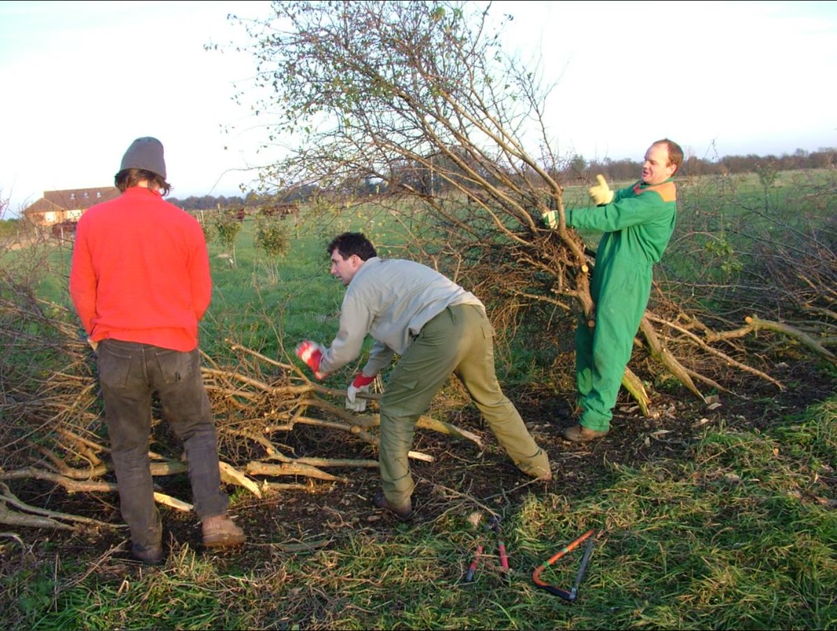 #ThrowbackThursday to c2005: You can just see the orchard as saplings in the background of this hedge-laying course on one of the only hedges we had at the time. This has given us the lovely thick wind-break full of nesting birds we have protecting the orchard now!