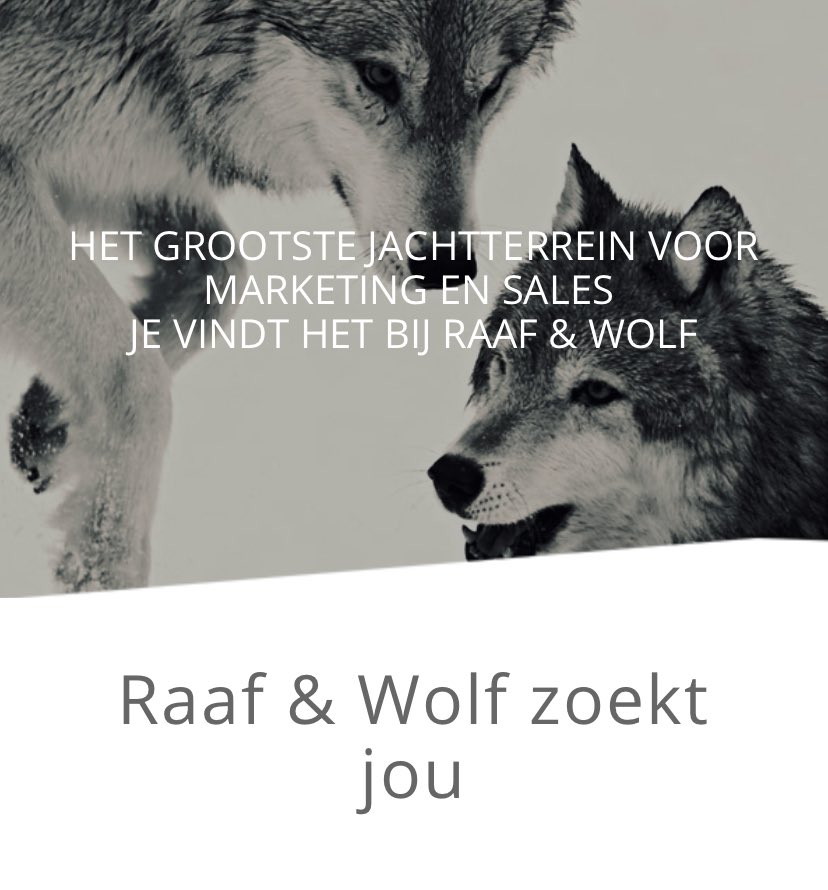 Raaf & Wolf tweet media