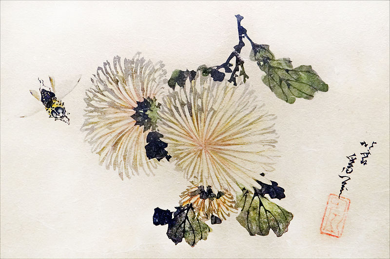 Хризантема в китае. Японские хризантемы Хокусай. Кацусика Хокусай лилии. Ши Тао китайская живопись. Хокусай бабочки.