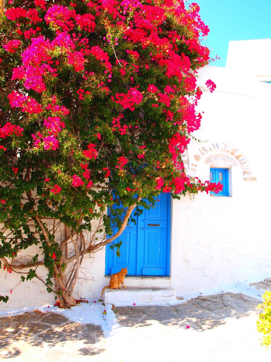 Καλημέρα σε όλο τον κόσμο!!
#Greece #Amorgos #Greekisland #hellenicfoodbasket #VisitGreece <a href="/VisitGreecegr/">Visit Greece</a> #cyclades