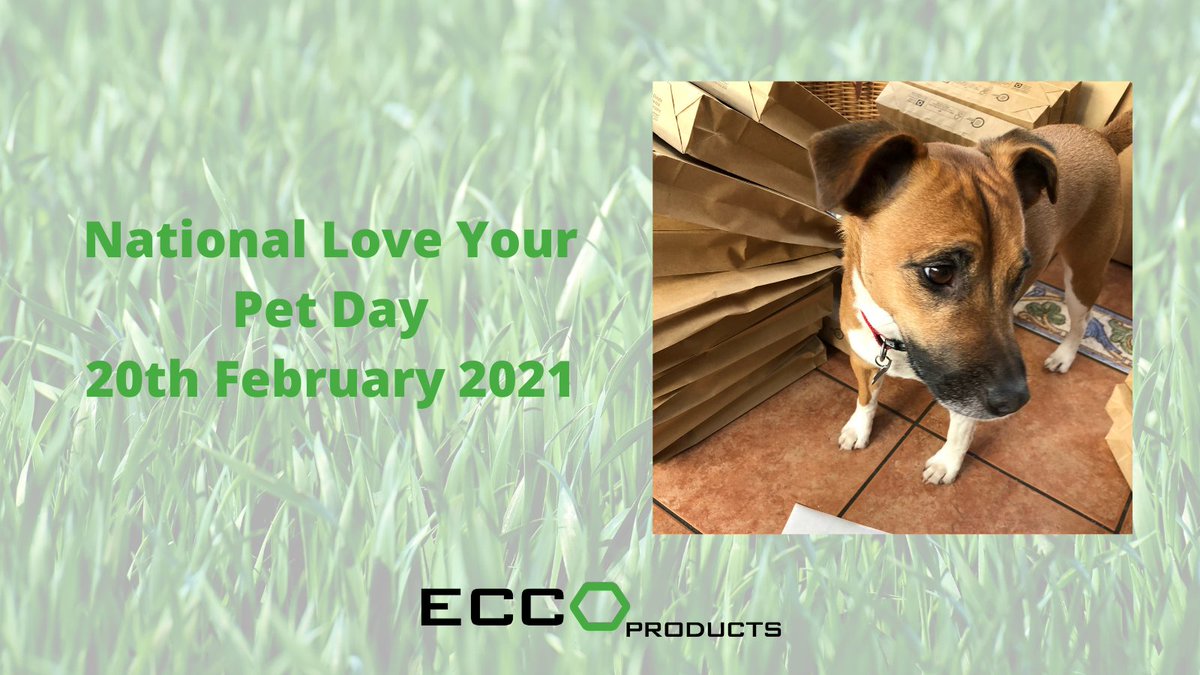 Today is National Love Your Pet Day! Throwback to our little assistant Patrick helping us pack up some samples, I promise he is happier than he looks!