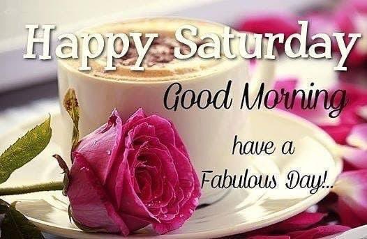 City of Loris (@of_loris) on Twitter photo 