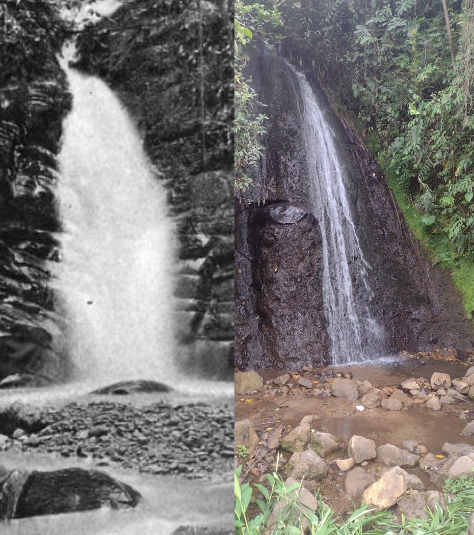 Waterfall near Río Naranjos, upper Magdalena valley
#ColombiaResurveyProject

1912  /  2021