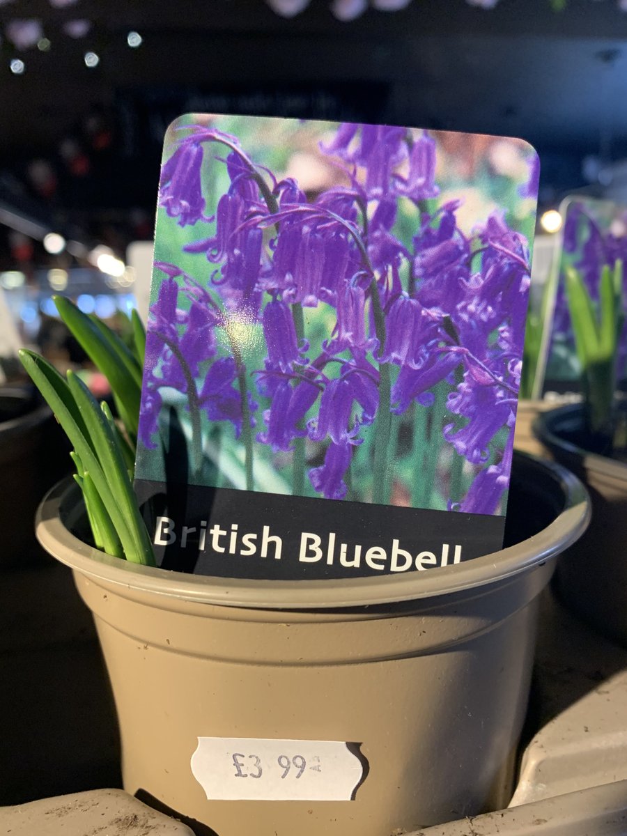 Sussex Produce Co. (@sussexproduce) on Twitter photo 