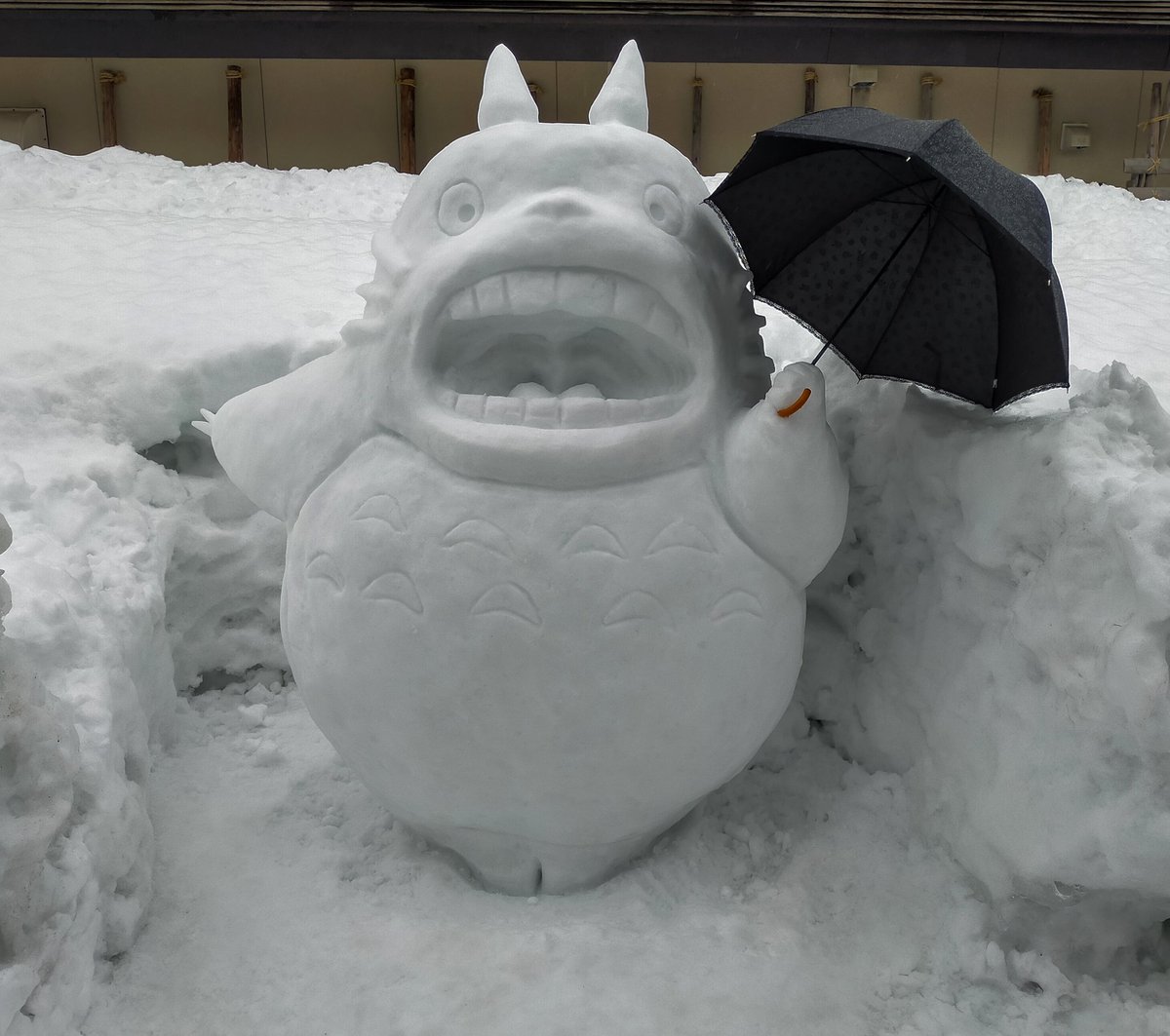 痛恨の雨でしたが、なんとか完成しました😅 #ジブリ #トトロ #となりの