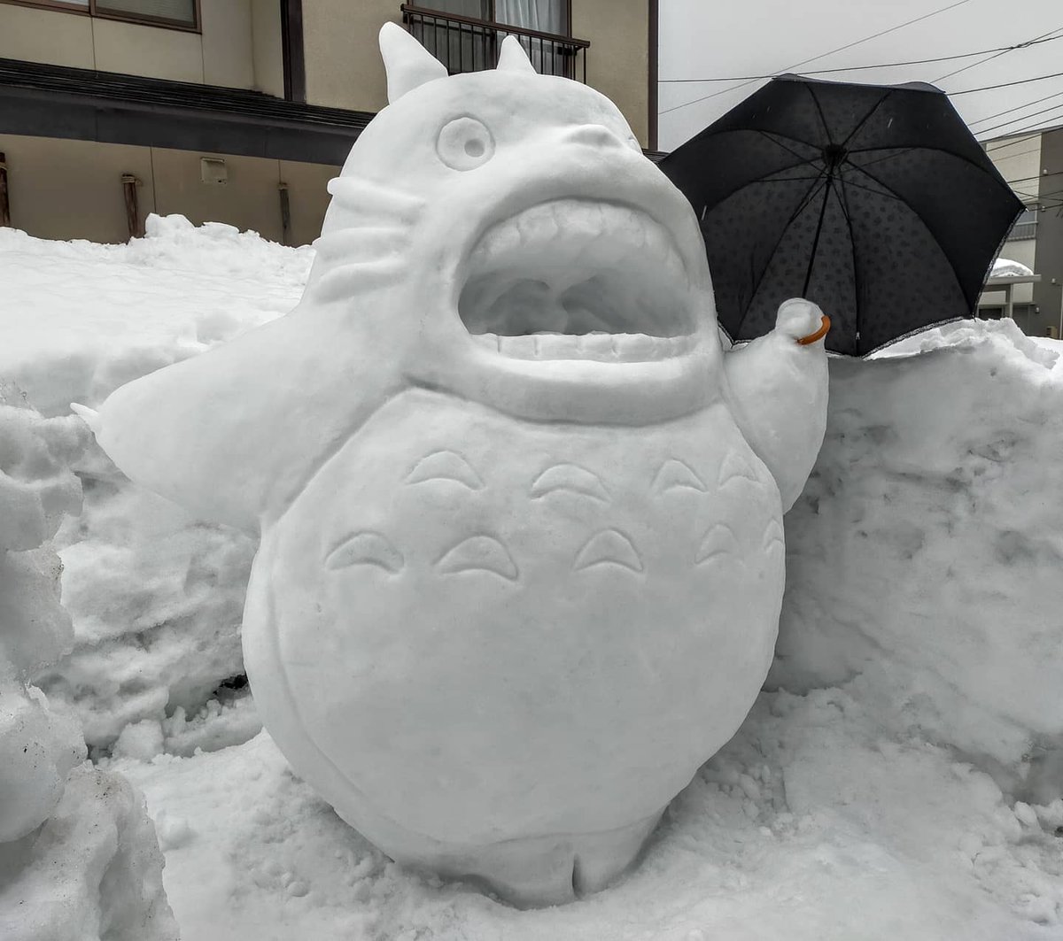 痛恨の雨でしたが、なんとか完成しました😅 #ジブリ #トトロ #となりの