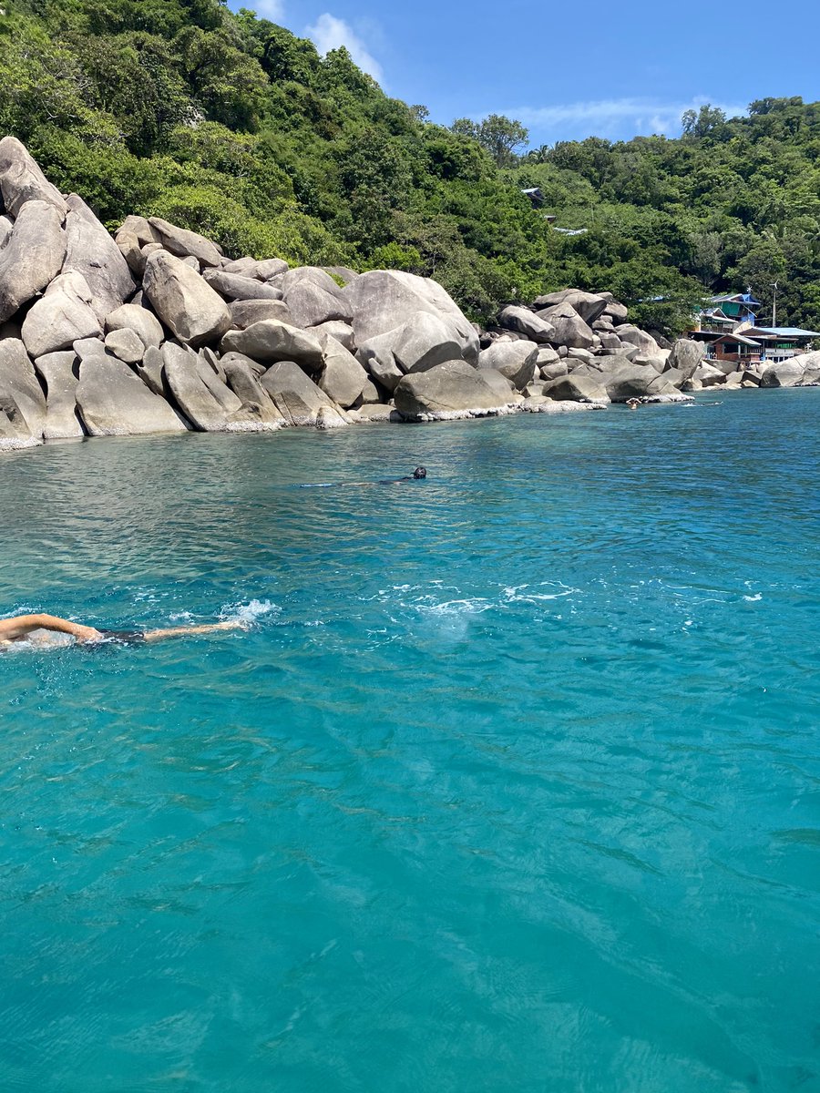 dekza55's tweet photo. I love เกาะเต่า ครบรส กินหมูกระทะ ปาร์ตี้หัวทิ่ม ดำน้ำ free diving นั่งชิวริมหาด กินอาหารทะเลสดหวานฉ่ำ  

#เกาะเต่า https://t.co/hGH5G2MELy