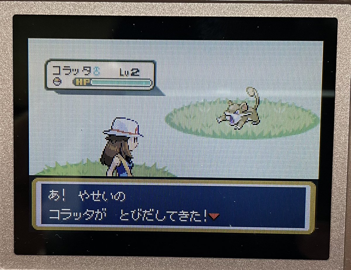 ポケモンファイアレッド Twitter Search Twitter ポケモンファイアレッド Twitter Search Twitter