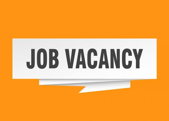 JobBureauDCC's tweet photo. VACANCY VACANCY

The Creator of the whole universe urgently needs labourers for immediate employment in His vineyard. For details, visit his website:

AVAILABLE POSITIONS --

A- Ezekiel 22:30--        Intercessors.    
  
B- Ezekiel 33:7-- Watchmen

C- Matthew 28:18--20 Preachers https://t.co/JGkuj5Rumg