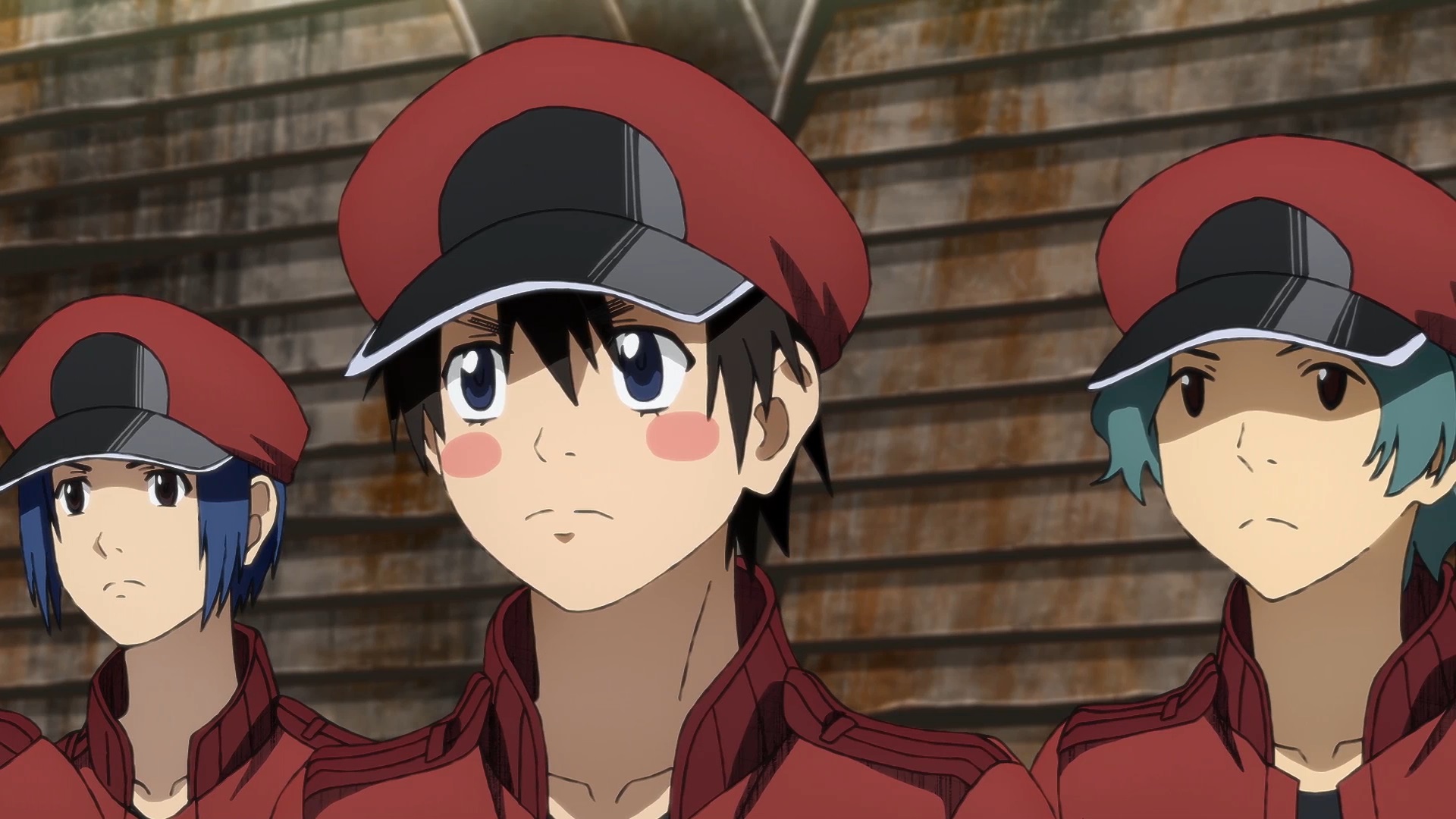 はたらく細胞BLACK』【公式】 on X: 