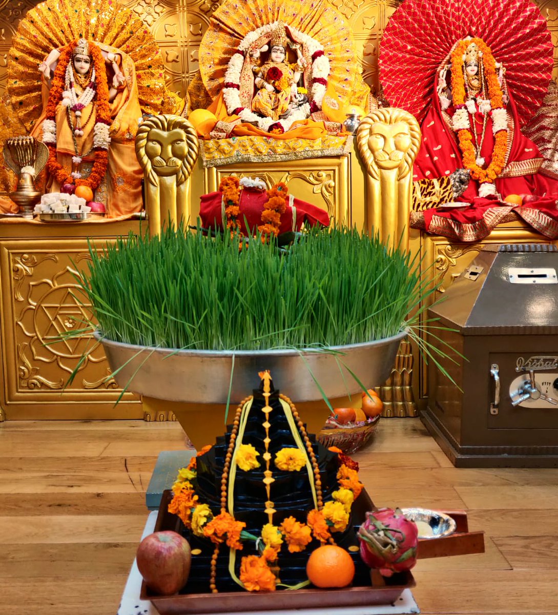 baglamukhipuja's tweet photo. Goddess Baglamukhi is the inherent dynamic energy and the divine life-force from which the supreme consciousness manifests itself. https://t.co/AUL5IuYmUn