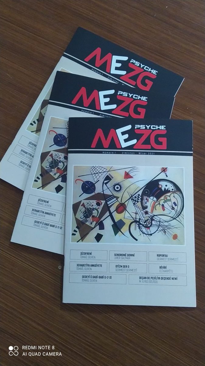 #zazakî #kirmanckî #kovare #perwerdeyêtaybetî #psîkolojî