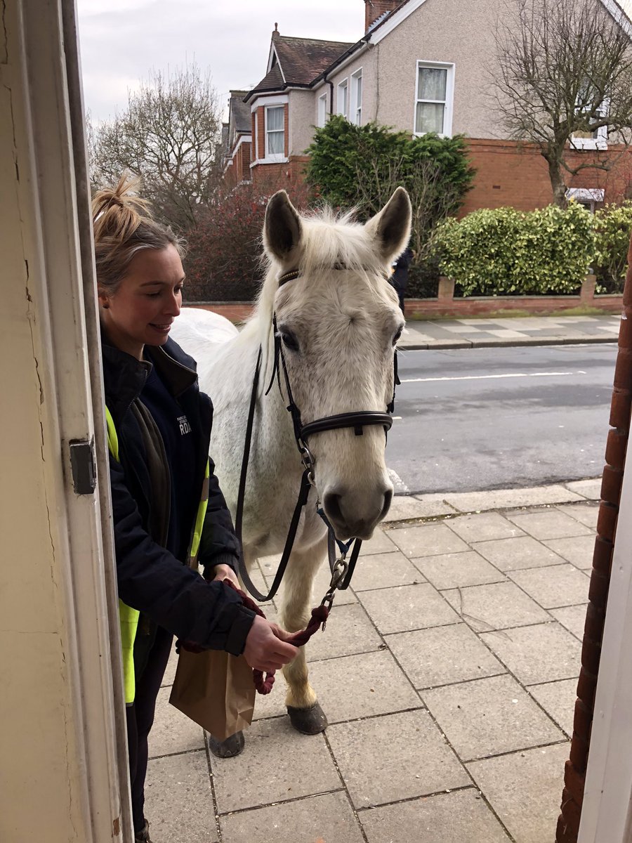 TeddngtonCheese's tweet image. Look who popped in to check out our new Italian cheese Ubriaco, which means ‘drunken’. Unfortunately, no cheese for Trigger, but for every customer who buys Ubriaco this week, we will donate all the money to Park Lane Stables