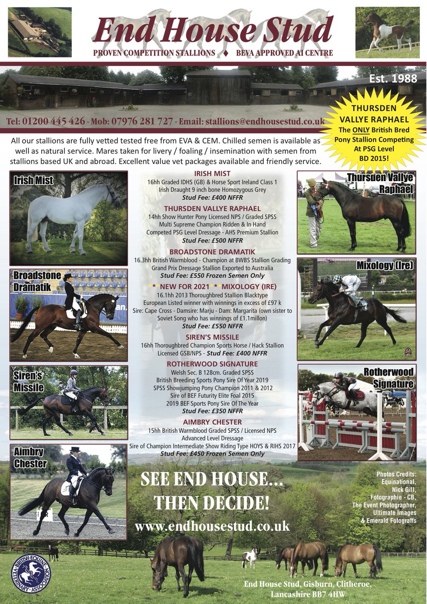 Are you thinking of breeding from your mare this season? We have worked with <a href="/endhousestud/">endhousestud</a> for many years over their promotion and would recommend checking out the fantastic #stallions they have available. 
As the advert says; See End House....... Then Decide!
#horsebreeding