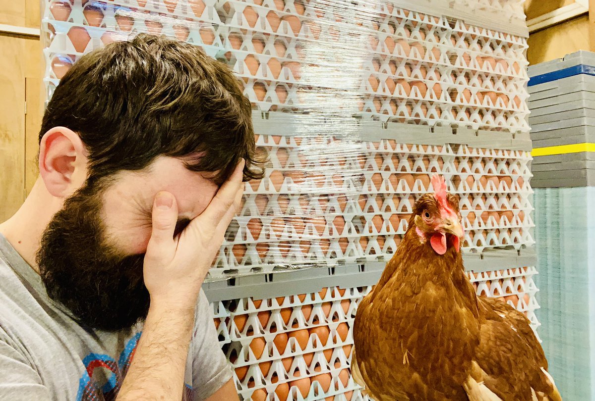 It took this hen approx 25 hours to make one of her beautiful brown eggs - only for some numpty to drop it on the floor. Sorry Doris!