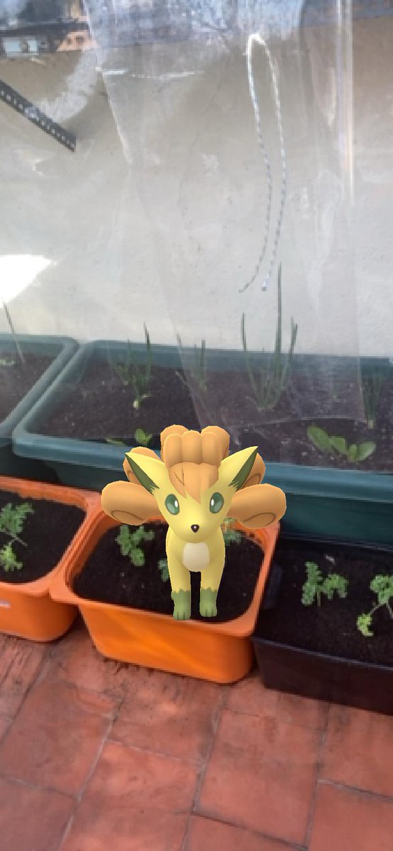 Labibliomaggie's tweet photo. #pokemongotour https://t.co/fPs0lRglVQ