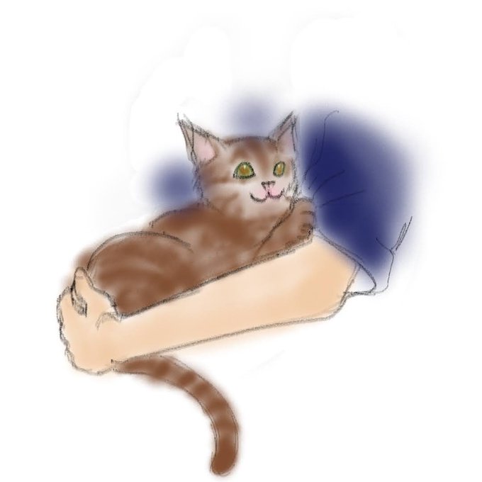 捨て猫と僕のtwitterイラスト検索結果
