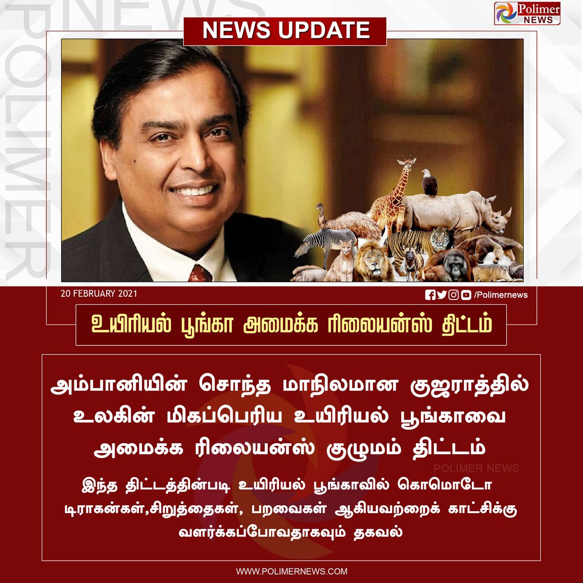 polimernews's tweet photo. #NEWSUPDATE || குஜராத்தில் உலகின் மிகப்பெரிய உயிரியல் பூங்கா அமைக்க ரிலையன்ஸ் அதிபர் முகேஷ் அம்பானி திட்டம் #Gujarat | #MukeshAmbani | #ZoologicalPark | #Zoo | #WorldLargestZoo | #RelianceIndustries | https://t.co/aK7PLSHOjY https://t.co/z53Tduoswq