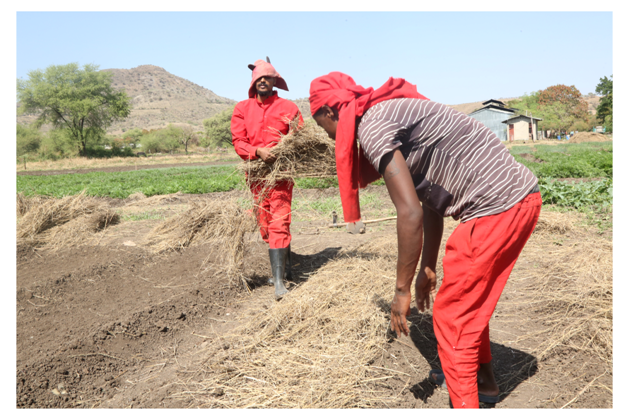 PrisonFederal's tweet photo. 12/06/2013 ዓ.ም
በፌዴራል ማረሚያ ቤት ኮሚሽን በሸዋ ሮቢት ማረሚያ ማዕከል የቀጣይ ክረምት የችግኝ ተከላ ቅድመ ዝግጅት በከፊል! https://t.co/L4Eg1Qj5mT