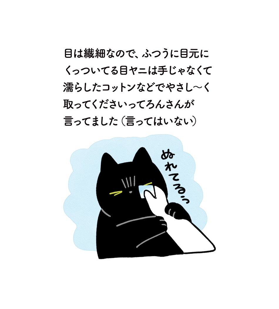 ねこからの愛情と信頼を感じるとかいぬしはとてもハッピーになるのであった--。という絵日記です
#ろんの絵日記 