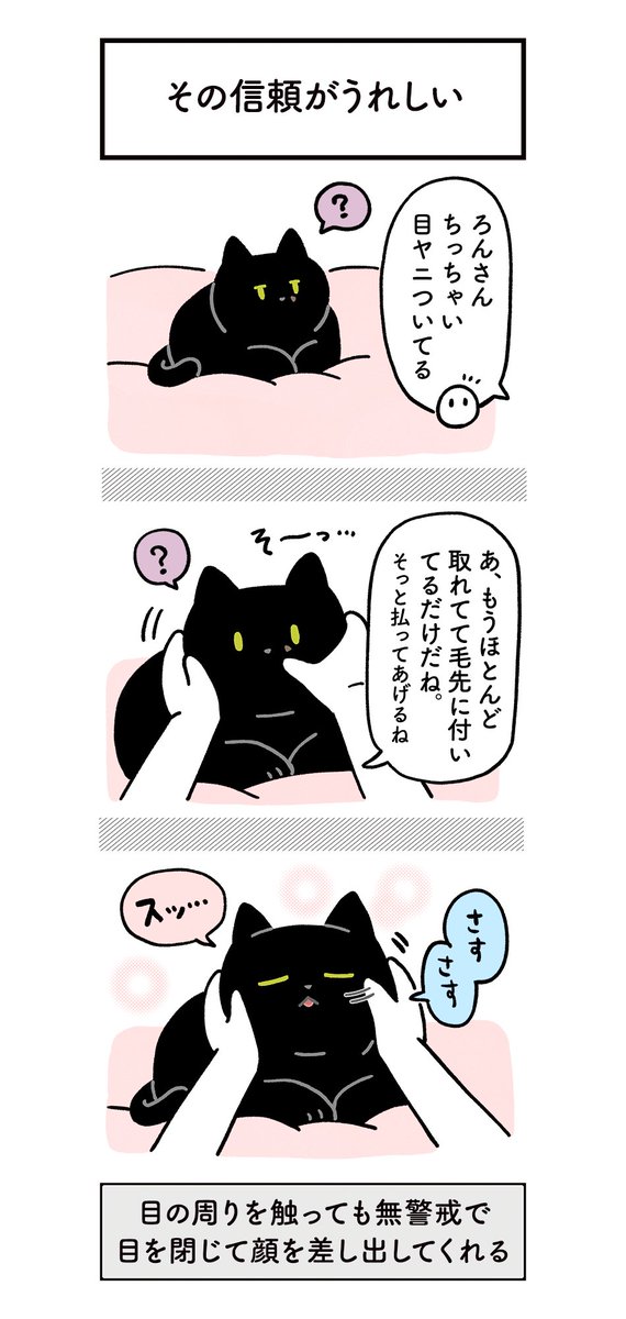 ねこからの愛情と信頼を感じるとかいぬしはとてもハッピーになるのであった--。という絵日記です
#ろんの絵日記 