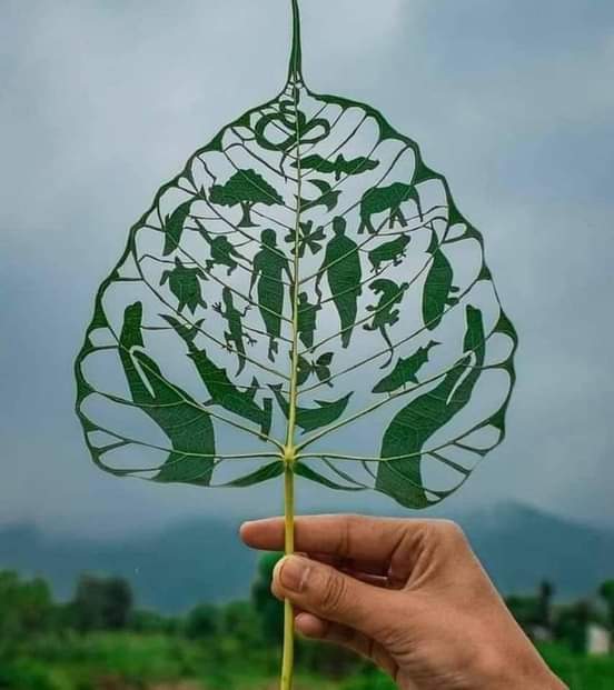 ruunjamac's tweet photo. 🍃 Leaf of life 🍃 https://t.co/N6U3btQtPR
