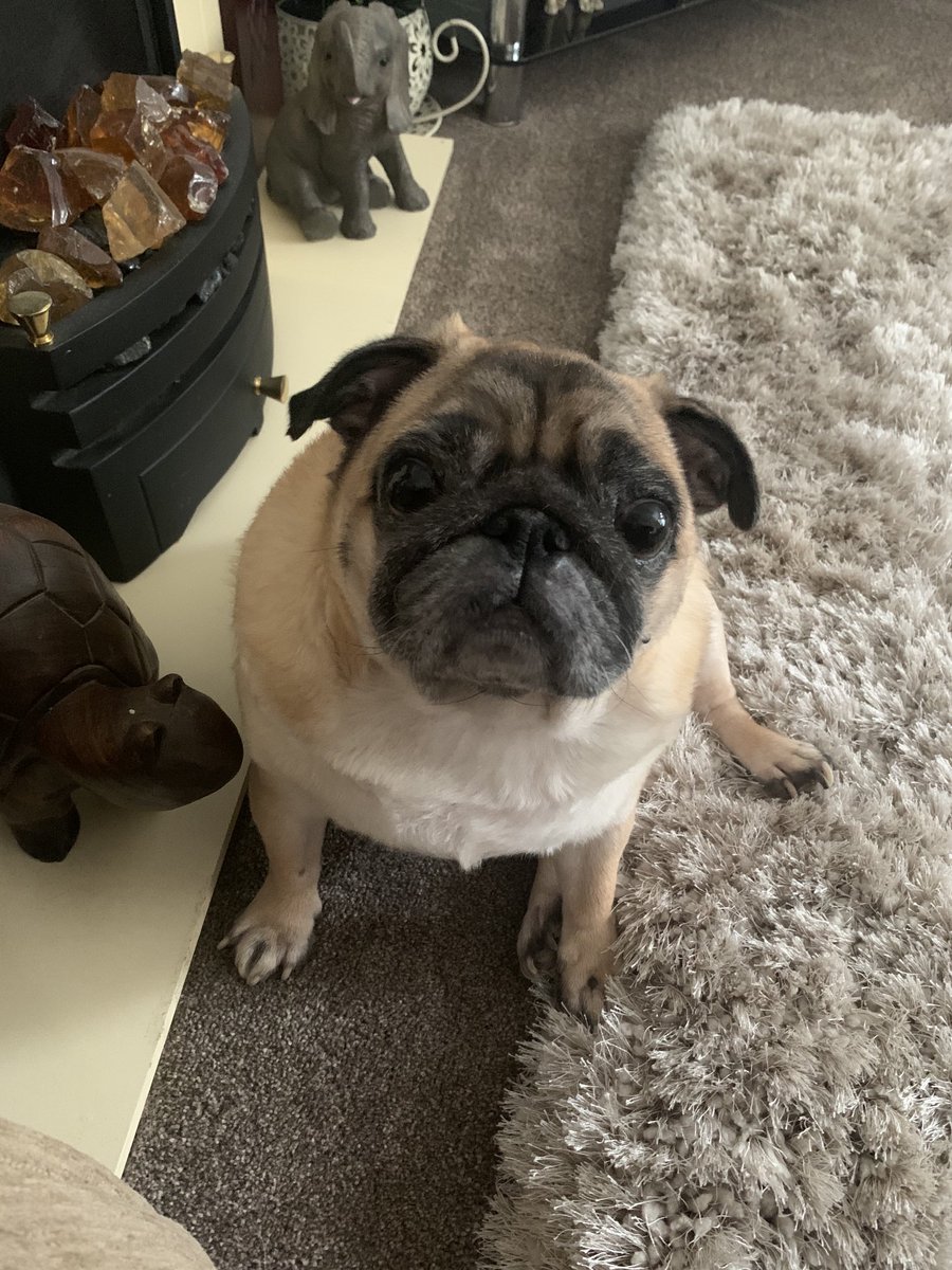 Is it nearly lunch time🥩🥓🍗