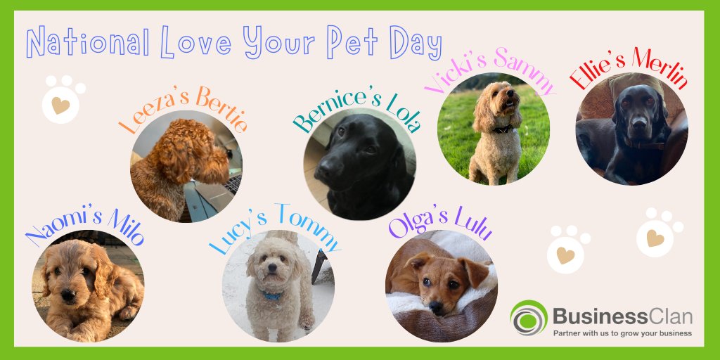 Behind every successful team is their endearing, brainy and unconditionally loving BFF. 🐱🐶

#nationalloveyourpetday