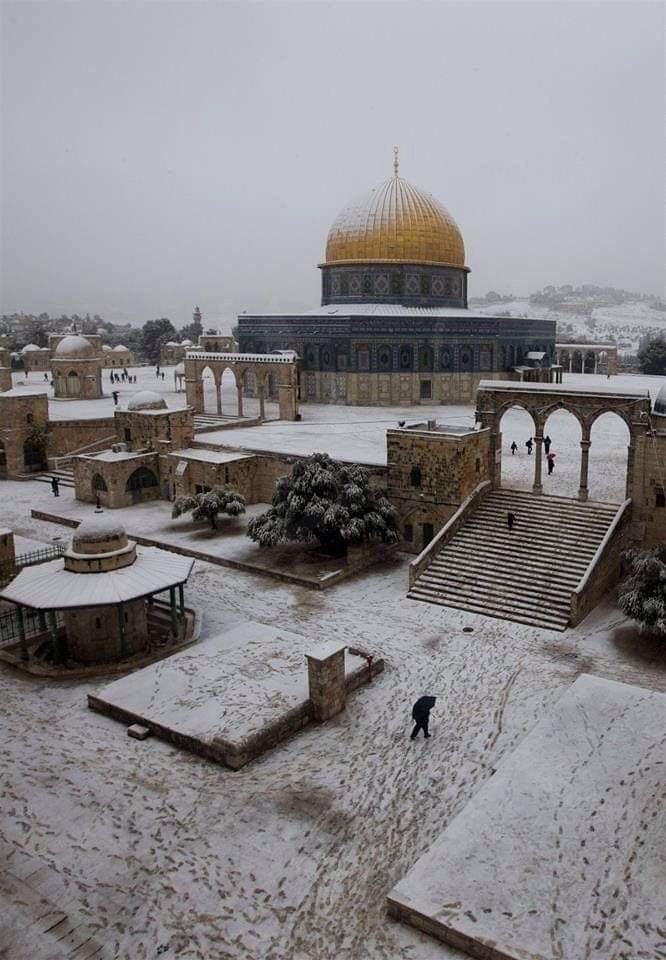 تتوهج بلونها الذهبي بين بياض الثلج الناصع، قبة الصخرة في المسجد الأقصى صدى البلد البلد